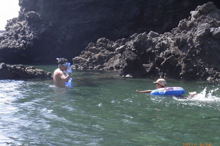 夏休みのお知らせ